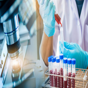 DTC Wellness Testing DTC Wellness Testing