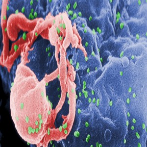 Global CRISPR Technology Market Global CRISPR Technology Market