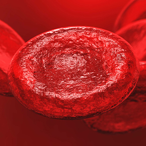Blood Cells Blood Cells