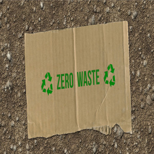 Sustainable Films for Packaging Market Sustainable Films for Packaging Market