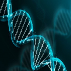 Global liquid biopsy market Global liquid biopsy market