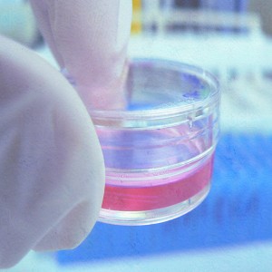 Regenerative Medicine Market Regenerative Medicine Market