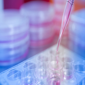 Precision Medicine Precision Medicine