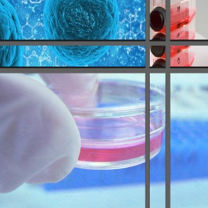 Global Regenerative Medicines Market