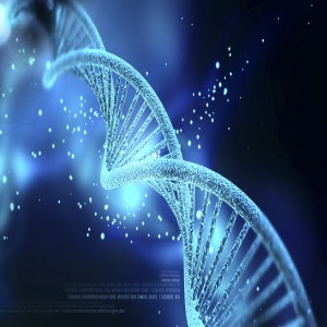 Global Precision Medicine Market Global Precision Medicine Market