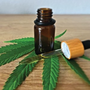 CBD-Infused Beverages Market CBD-Infused Beverages Market