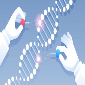 CRISPR Gene Editing CRISPR Gene Editing