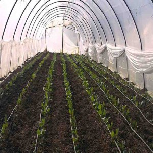 Agricultural films market  Agricultural films market
