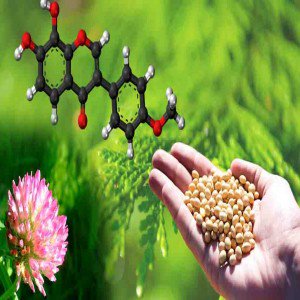 isoflavones market report isoflavones market report