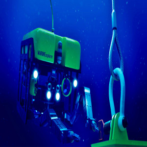 Inspection and Maintenance Robot Market Inspection and Maintenance Robot Market