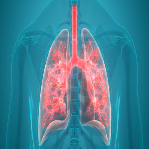 Digital Respiratory Devices Market Digital Respiratory Devices Market