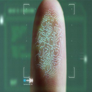 Global fingerprint sensor market Global fingerprint sensor market