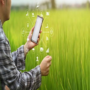 AR in Agriculture Market AR in Agriculture Market