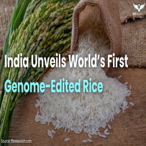 India Unveils World’s First Genome-Edited Rice India Unveils World’s First Genome-Edited Rice