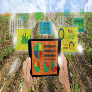 Smart Farming Smart Farming