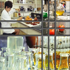 Global Food Safety Testing Market Global Food Safety Testing Market