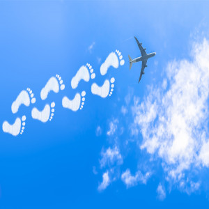 Reduce Aviation Carbon Emissions Reduce Aviation Carbon Emissions