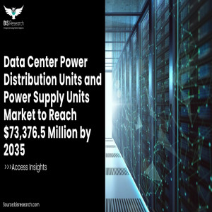 Data Center Power Distribution Units and Power Supply Units Market to Reach $73,376.5 Million by 2035