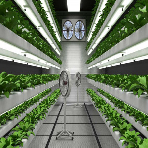 vertical farming research vertical farming research