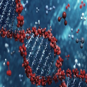 Global Emerging Cancer Diagnostics Market Global Emerging Cancer Diagnostics Market