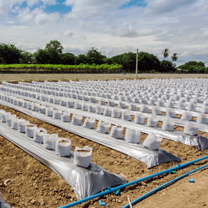 Fertigation and Chemigation Systems Fertigation and Chemigation Systems