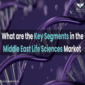 What are the Key Segments in the Middle East Life Sciences Market