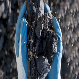 Black Mass Recycling Black Mass Recycling