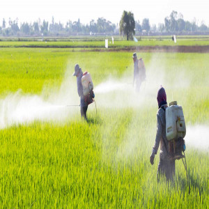 Crop Protection using MedTech Innovation Crop Protection using MedTech Innovation
