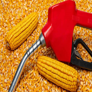 Sustainable Biofuels Sustainable Biofuels