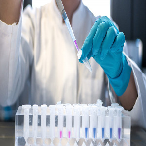 Nucleic Acid Isolation and Purification Market Nucleic Acid Isolation and Purification Market