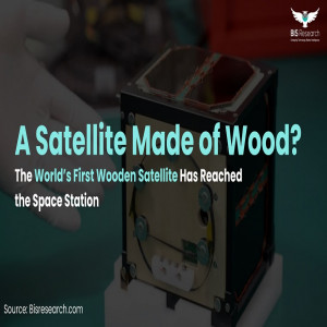 A Satellite Made of Wood A Satellite Made of Wood