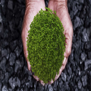 Specialty Carbon Black Market Specialty Carbon Black Market