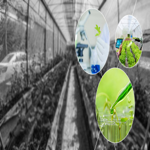 Plant Genomics Market Plant Genomics Market