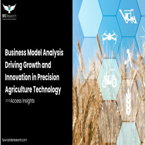 Business model analysis in precision agriculture 