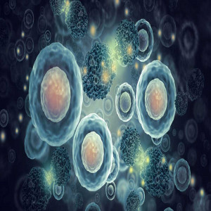 Plasma Medicine Plasma Medicine