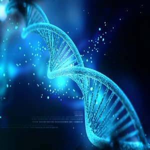Global Next-Generation Sequencing Market