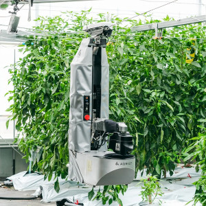 Japanese Harvesting Robot Japanese Harvesting Robot