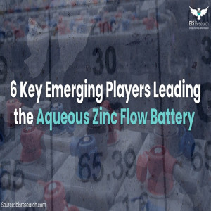 6 Key Emerging Players Leading the Aqueous Zinc Flow Battery