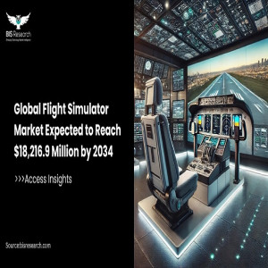 Global Flight Simulator Market 