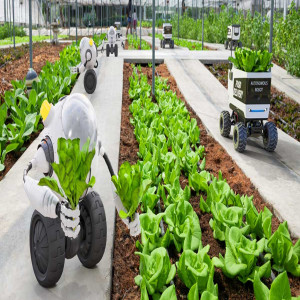 Smart Harvesting Smart Harvesting