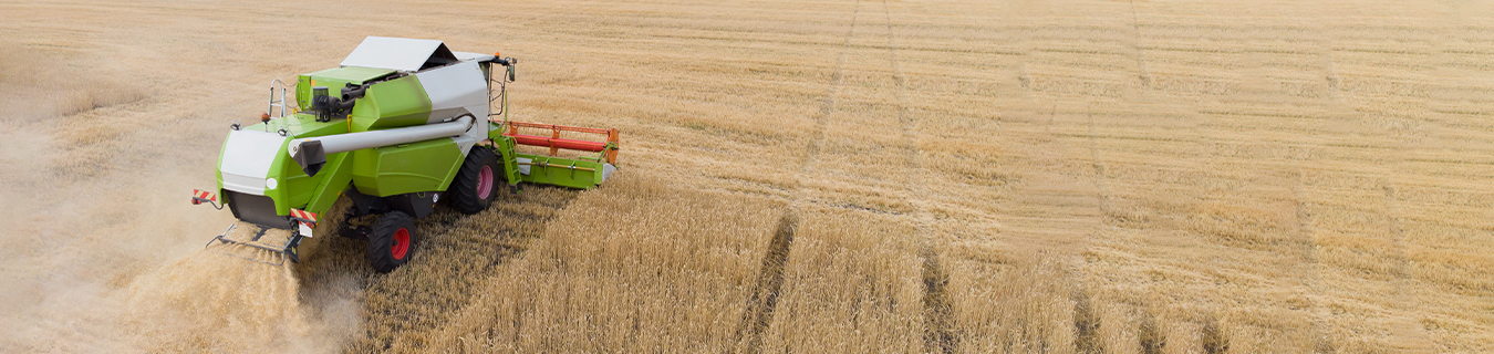 Crop Protection (Agri-inputs)