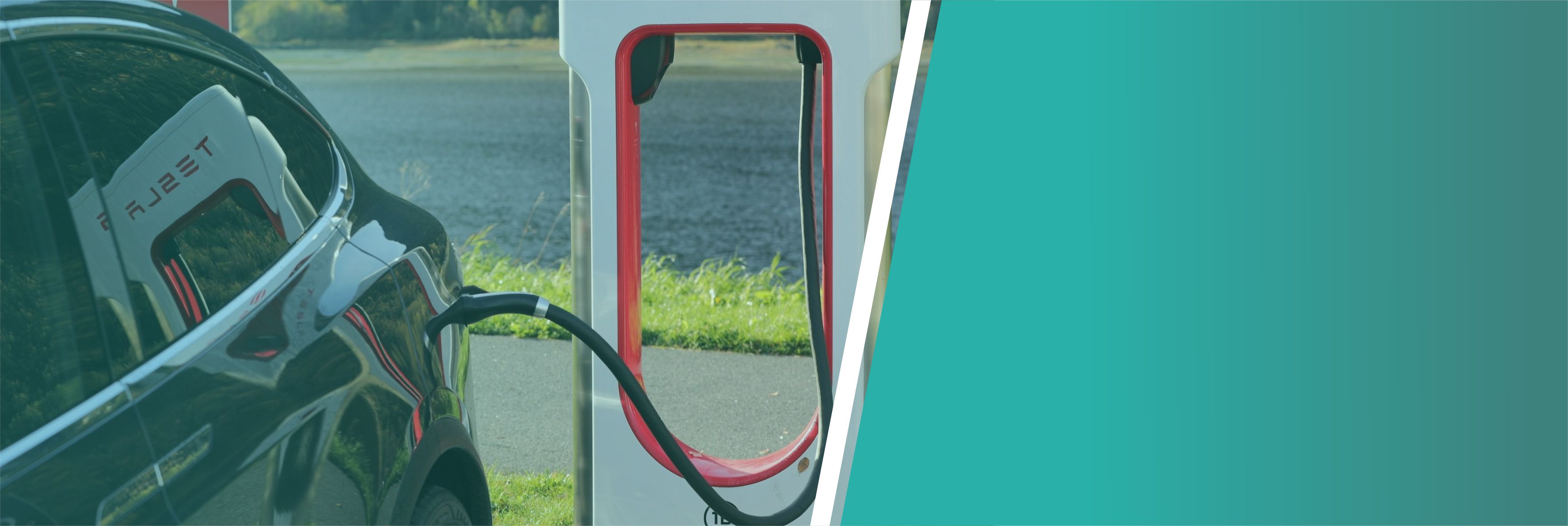 Electric Vehicle Market Research Reports & Industry Insights